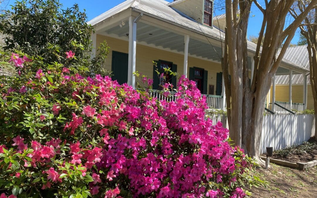 Healing Traditions in Acadiana