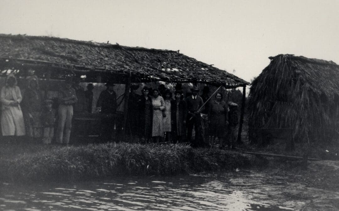 Les Vues — Precipice